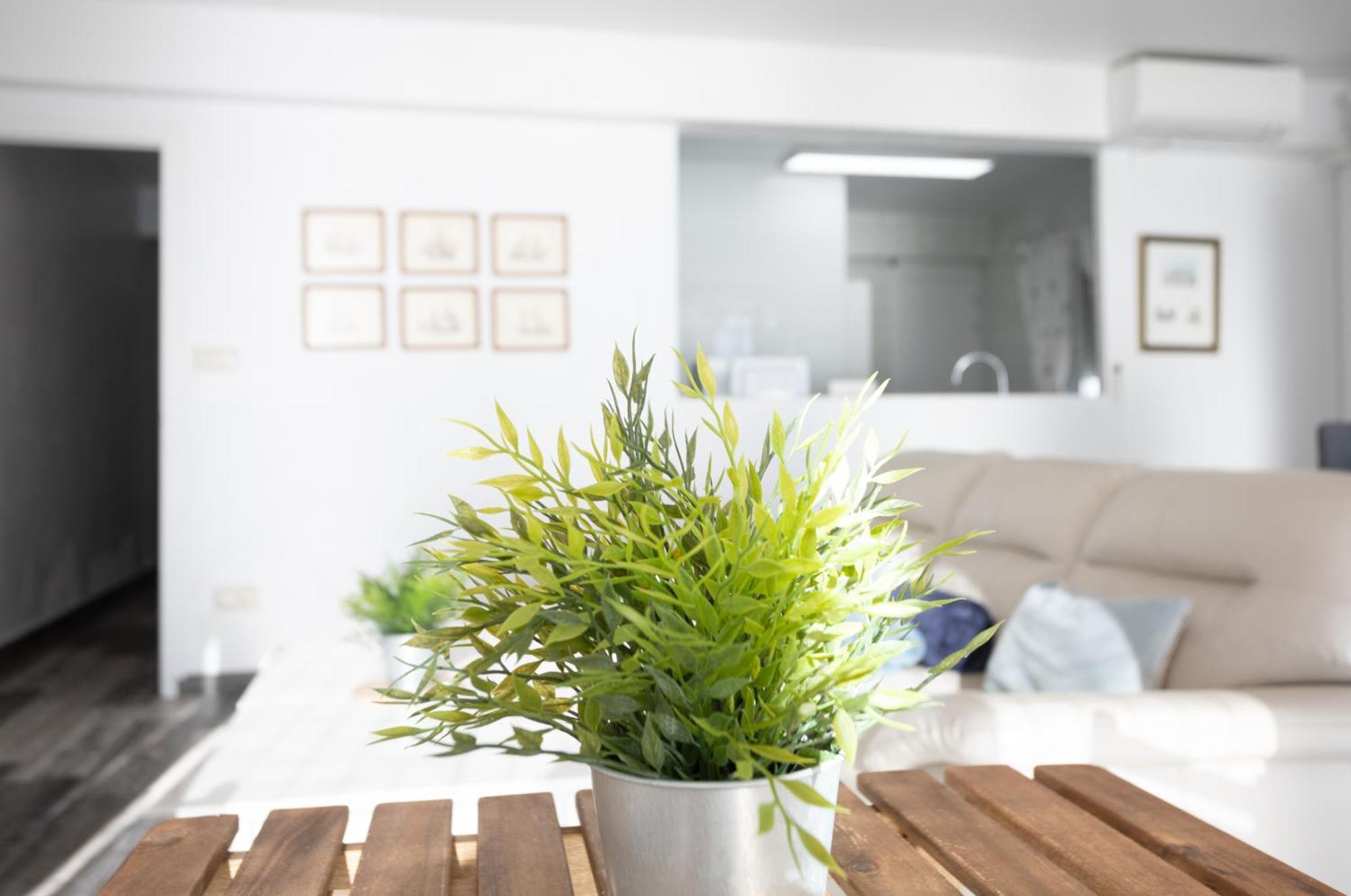 Apartmán Altea Mar Y Puerto Exteriér fotografie